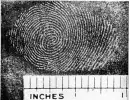finger print