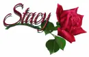 Stacy red rose