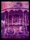 Purple Carosel 8D