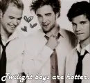 Twilight boys