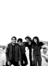 roit paramore