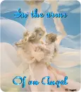 Angel's Love