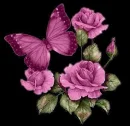 Butterly Flower