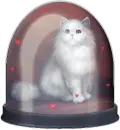 white Beautiful Cat