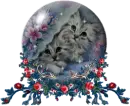 cute kitties