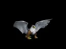 griffen flying