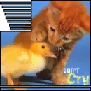 DONT CRY