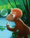monkey