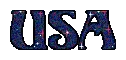 the word usa