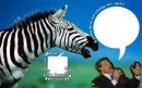 al gore dumb quote