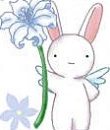 bunny cute