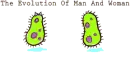 The Evolution