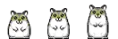 Dancing Hampsters