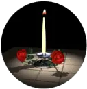 Red rose