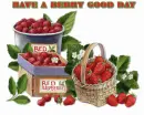 good day