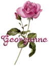 pink rose georganne