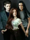 Twilight  dolls
