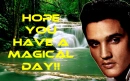 Have a Magical Day