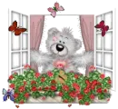 creddy bear with butterflys
