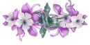 purple flowers