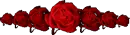 red roses