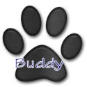 paw print buddy