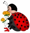 LADYBUG