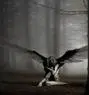 Dark Angel Mother