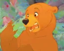 Brother Bear