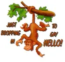 Just dropping in to say hello