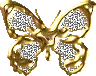 Gold n Silver Butterfly
