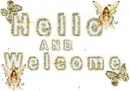 Hello n Welcome