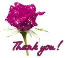 Thank you!