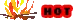 hot oline now icon