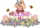 cookie