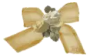Yellow Bow