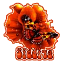 SIDDIQA