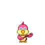 bird