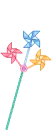 Pinwheel 