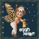 good night