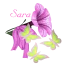 SARA