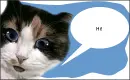 Welcome to my Page!