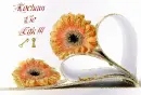 KOCHAM cIÄ˜, kwiat, kwiatki, miÅ‚oÅ›Ä‡