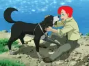 Soko