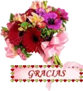 gracias, thank you