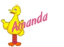 big bird amanda