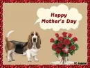 Basset with Mother's Day wishes