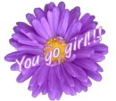 purple daisy