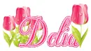 tulips delia