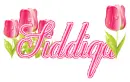 tulips siddiqa